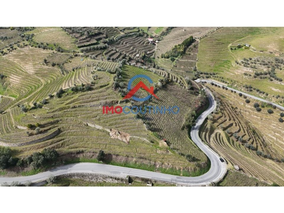 Farm i Moimenta da Beira, Viseu - foto 3