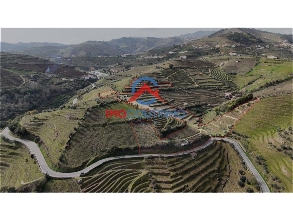 Farm i Moimenta da Beira, Viseu - foto 4