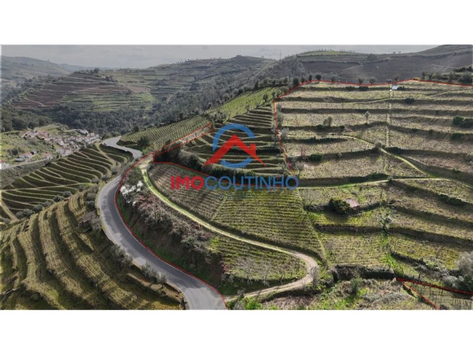 Farm i Moimenta da Beira, Viseu - foto 5