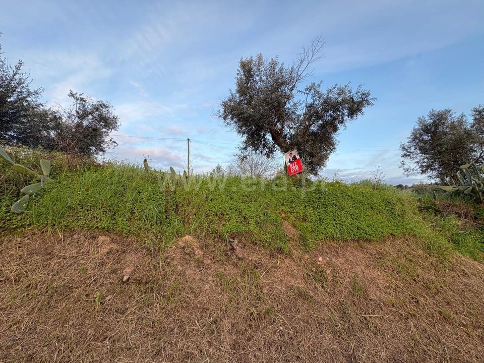 Helårsgrund i Abrantes, Santarem - foto 2