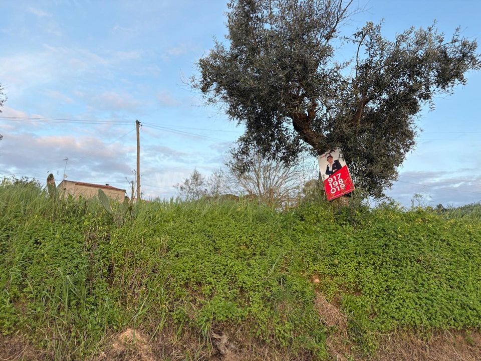 Helårsgrund i Abrantes, Santarem - foto 5