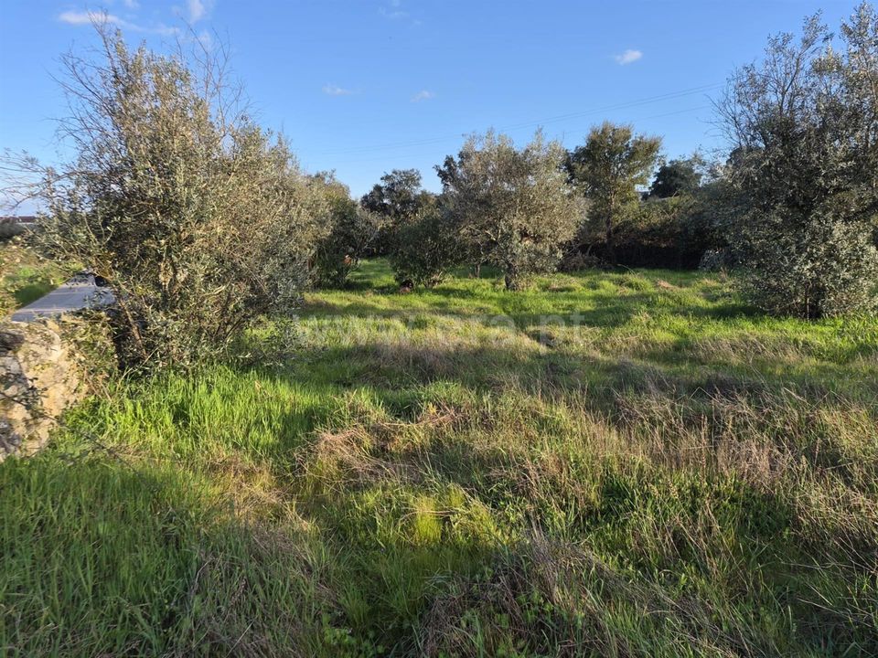 Helårsgrund i Nisa, Portalegre - foto 1