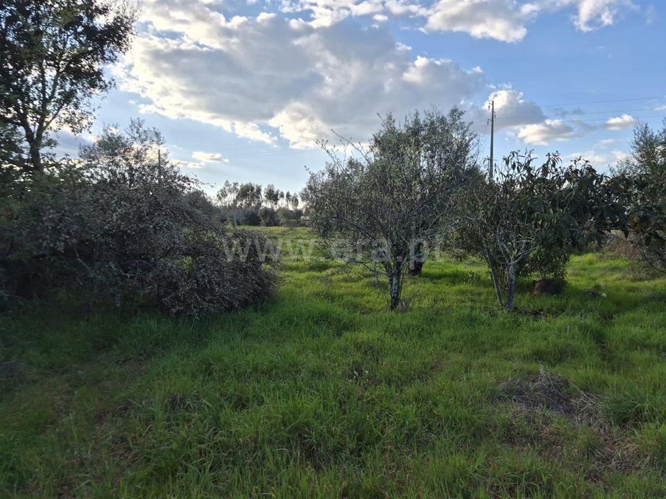 Helårsgrund i Nisa, Portalegre - foto 3