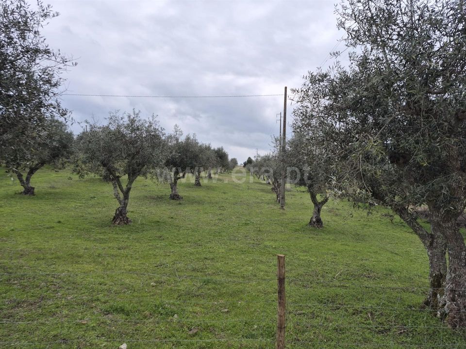 Erhvervsejendom i Nisa, Portalegre - foto 2