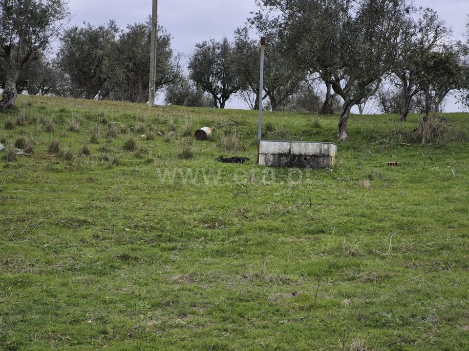 Erhvervsejendom i Nisa, Portalegre - foto 3