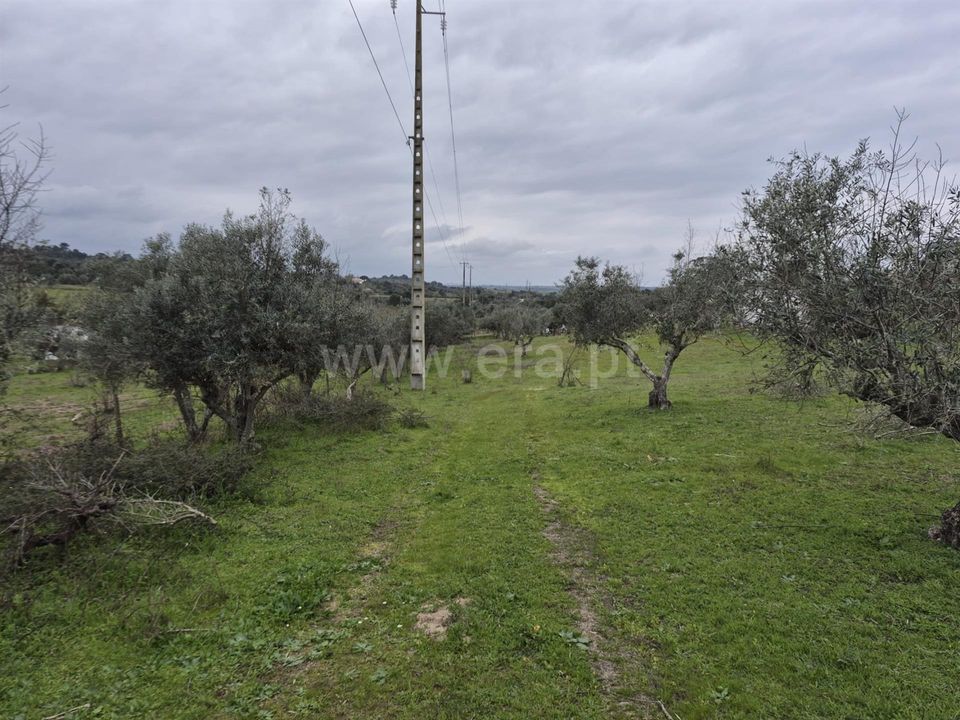 Erhvervsejendom i Nisa, Portalegre - foto 4
