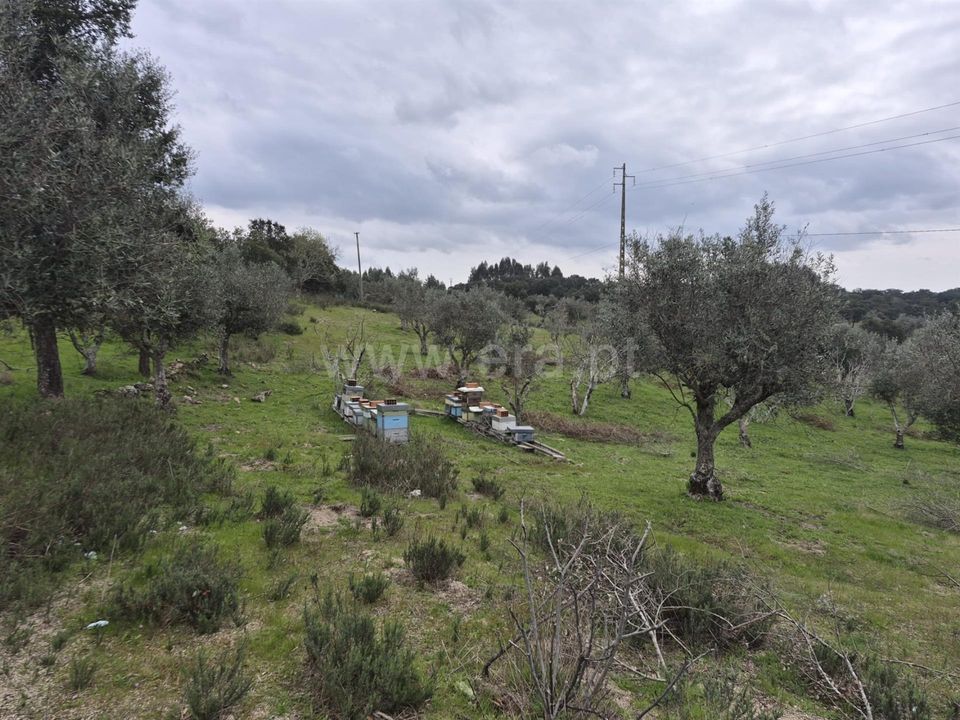 Erhvervsejendom i Nisa, Portalegre - foto 5