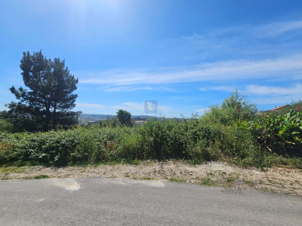 Helårsgrund i Aljubarrota, Leiria - foto 3