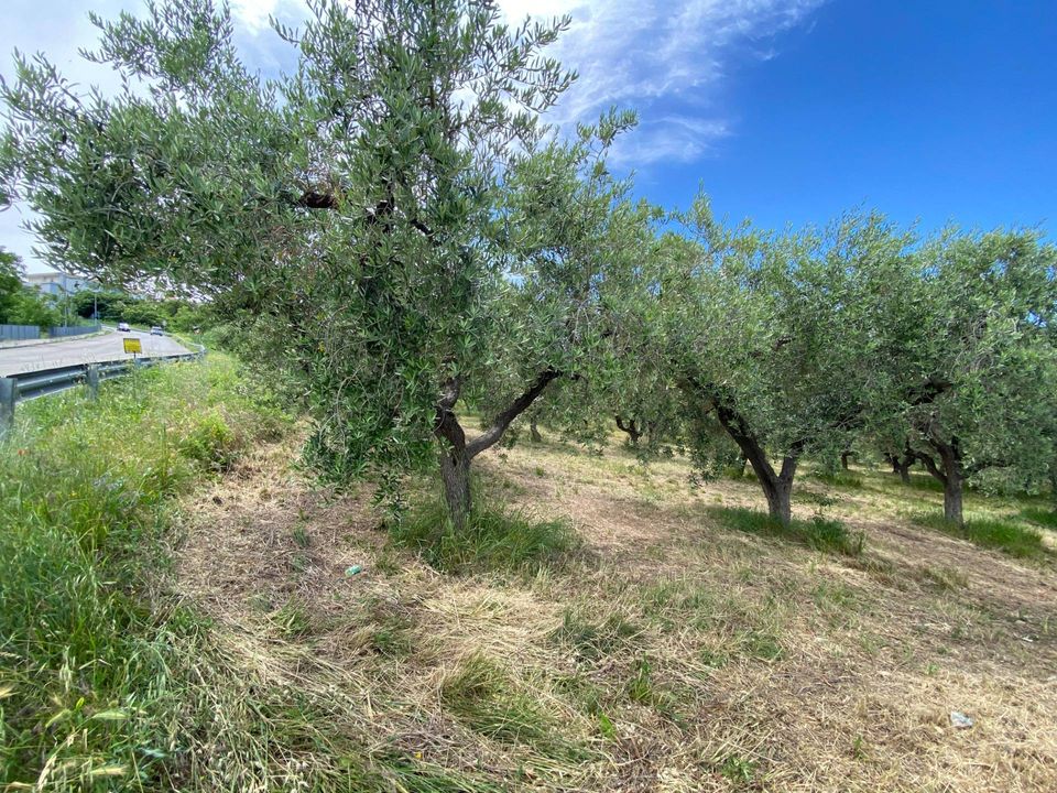 Tomt i Cupello, Chieti - bilde 2