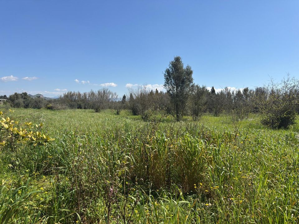 Erhvervsejendom i San Sperate, Sud Sardegna - foto 3