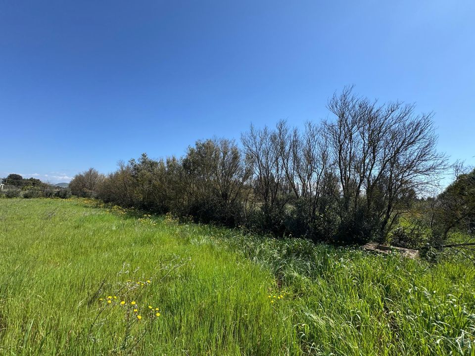Erhvervsejendom i San Sperate, Sud Sardegna - foto 4