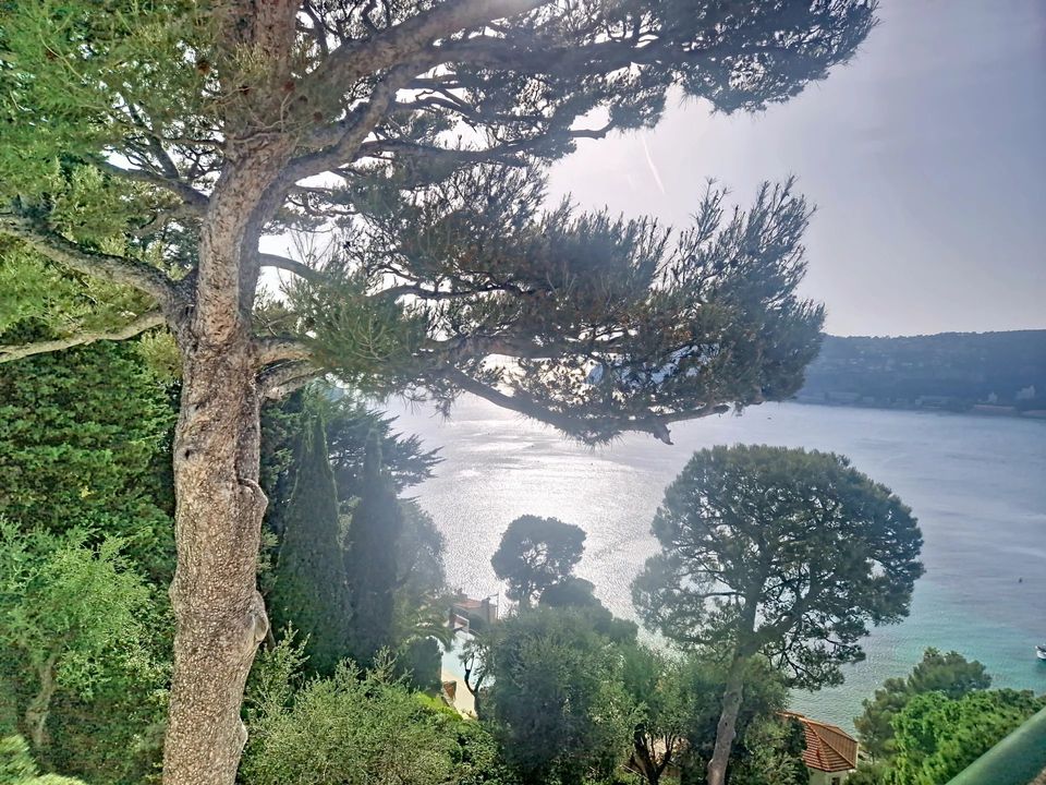Villa i Saint-Jean-Cap-Ferrat, Alpes-Maritimes - foto 5