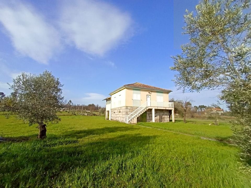 Landejendom i Mangualde, Viseu - foto 1