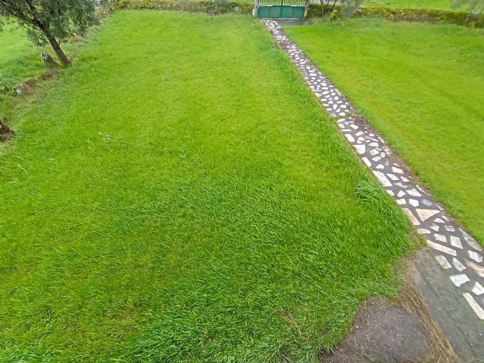 Landejendom i Mangualde, Viseu - foto 5