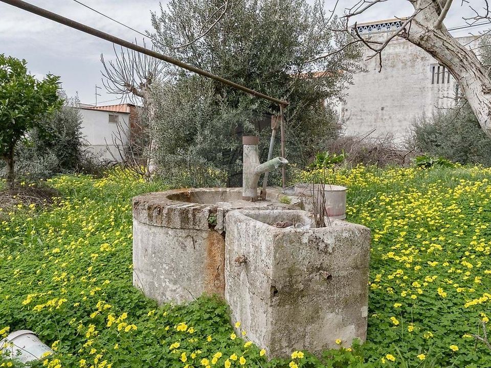 Villa i Estremoz, Evora - foto 5
