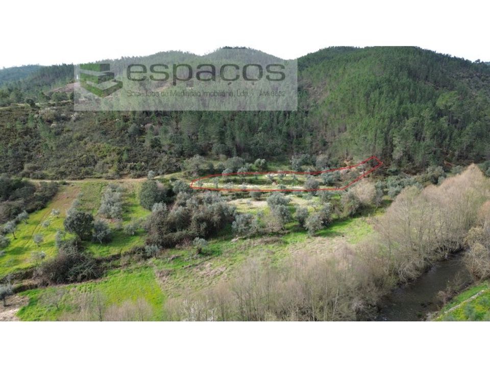 Terreno en Sobreira Formosa e Alvito da Beira, Castelo Branco - foto 1