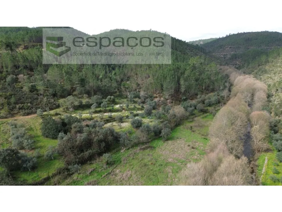 Terreno en Sobreira Formosa e Alvito da Beira, Castelo Branco - foto 2