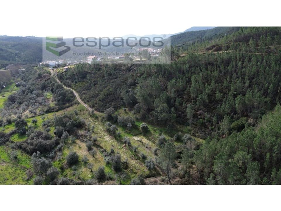 Terreno en Sobreira Formosa e Alvito da Beira, Castelo Branco - foto 3