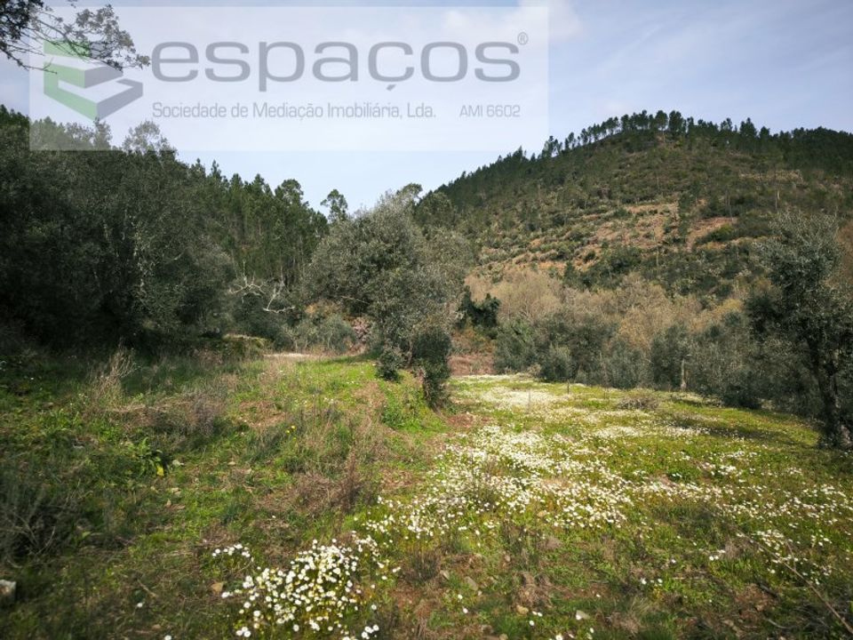 Terreno en Sobreira Formosa e Alvito da Beira, Castelo Branco - foto 5
