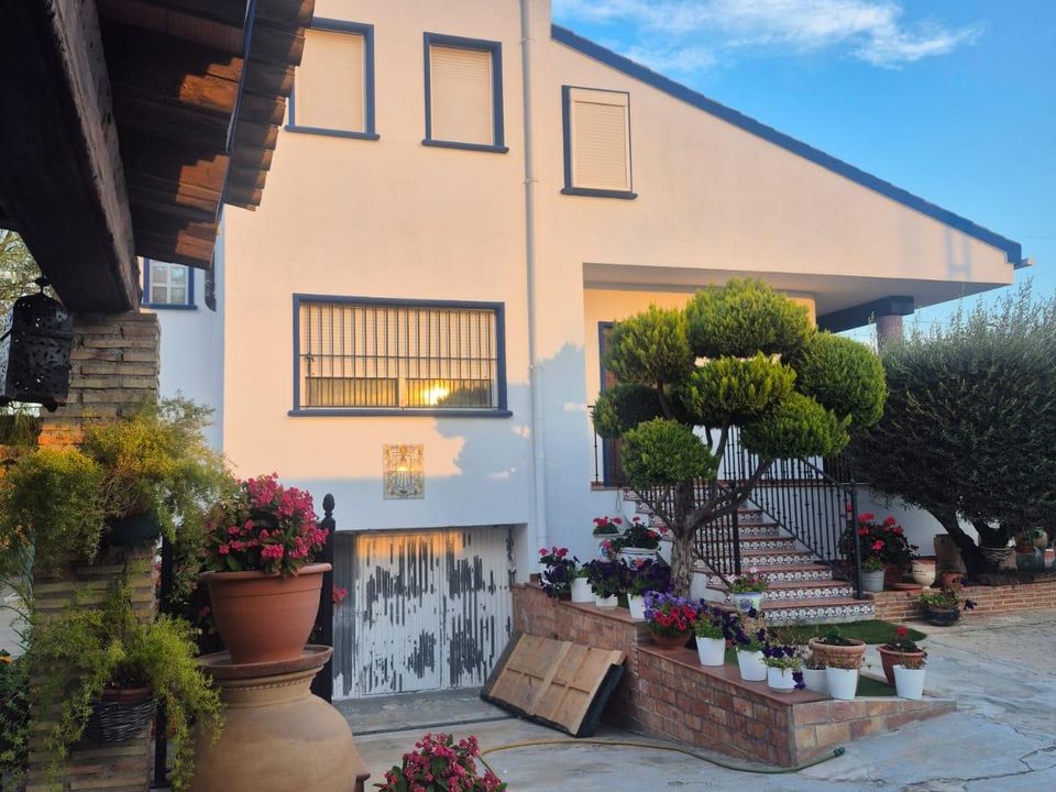 Finca i Orihuela, Alicante - foto 4
