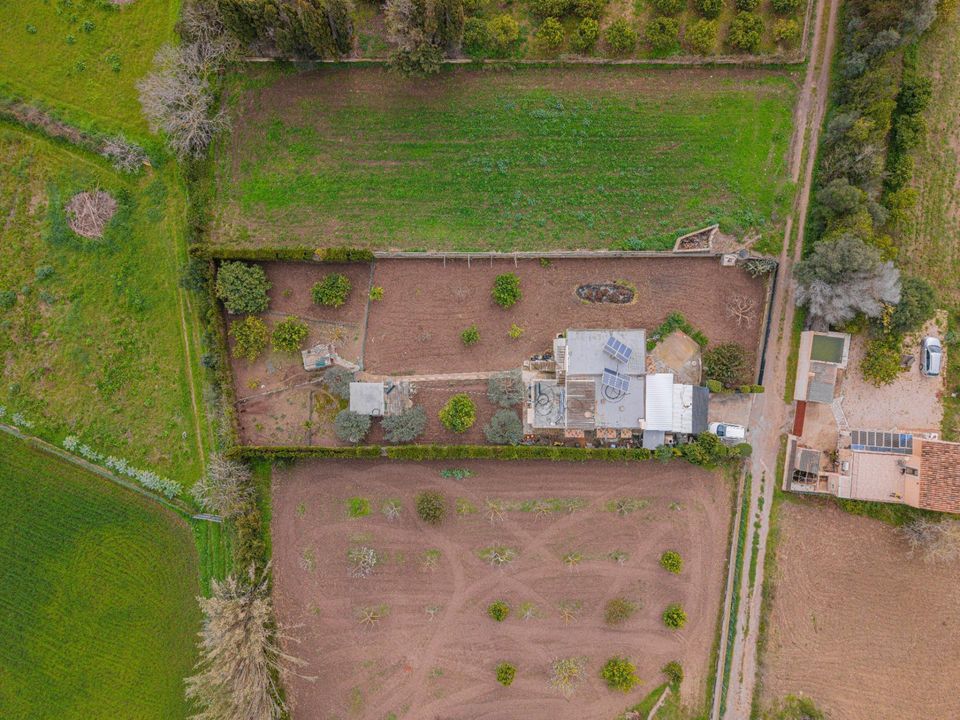 Villa in Son Servera, Mallorca - photo 3