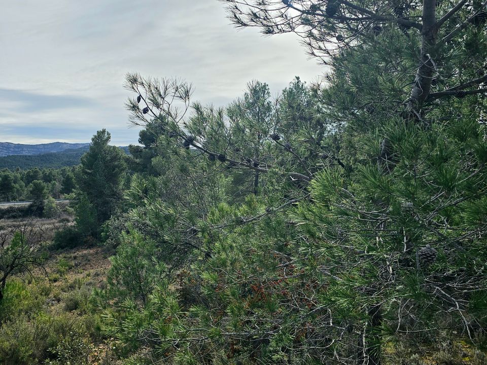 Finca i Cretas, Teruel - bilde 3
