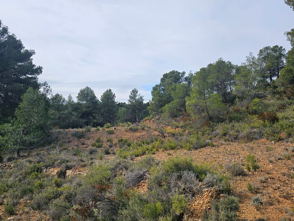 Finca i Cretas, Teruel - bilde 5