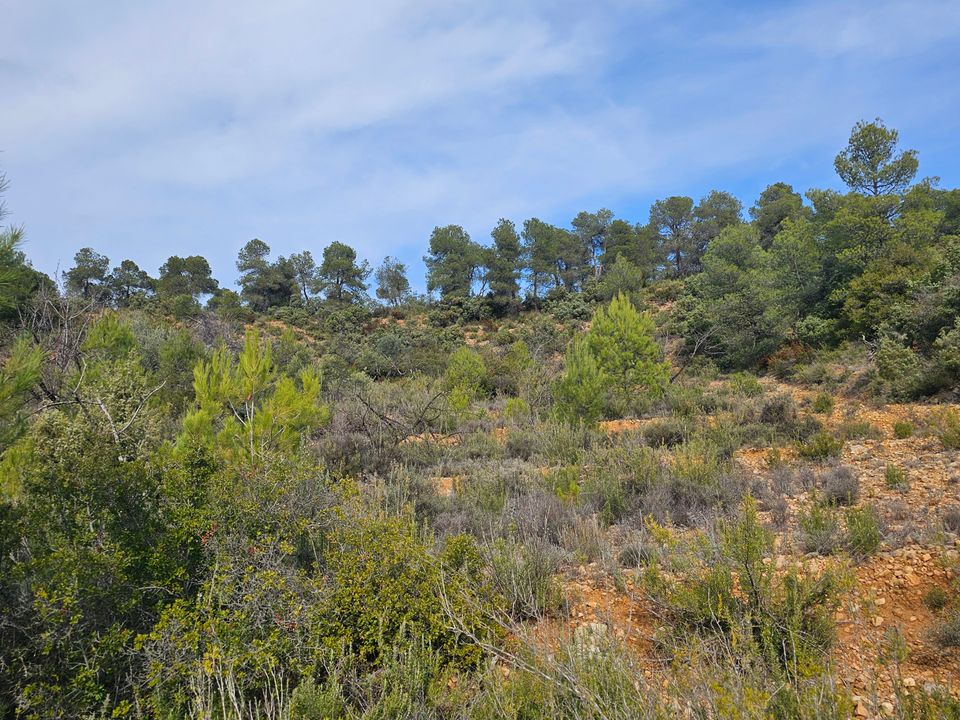 Finca i Cretas, Teruel - bilde 4