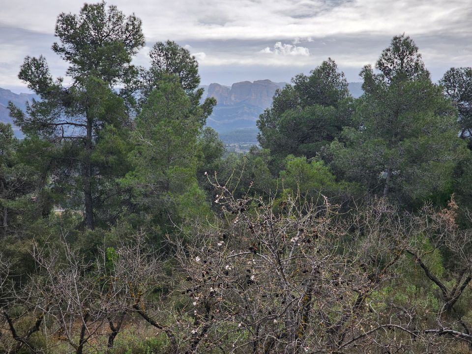 Finca i Cretas, Teruel - bilde 5