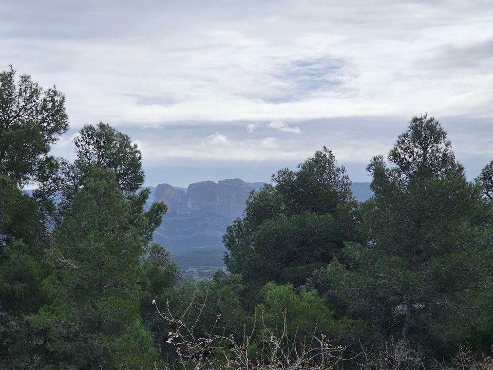 Finca i Cretas, Teruel - bilde 3