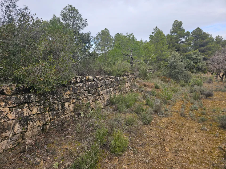 Finca i Cretas, Teruel - bilde 2