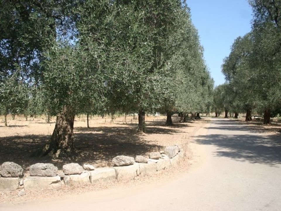 Erhvervsejendom i Cutrofiano, Lecce - foto 1