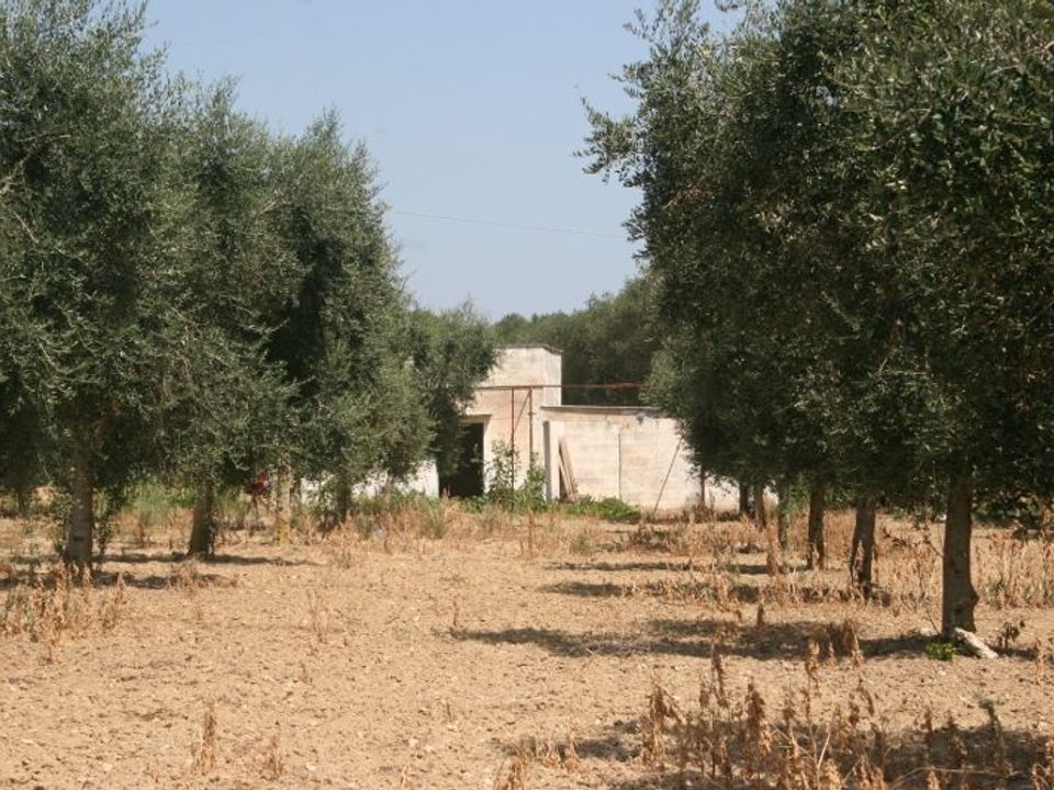 Erhvervsejendom i Cutrofiano, Lecce - foto 2