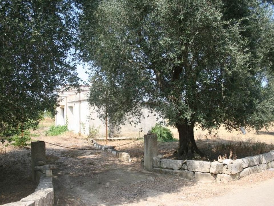 Erhvervsejendom i Cutrofiano, Lecce - foto 3
