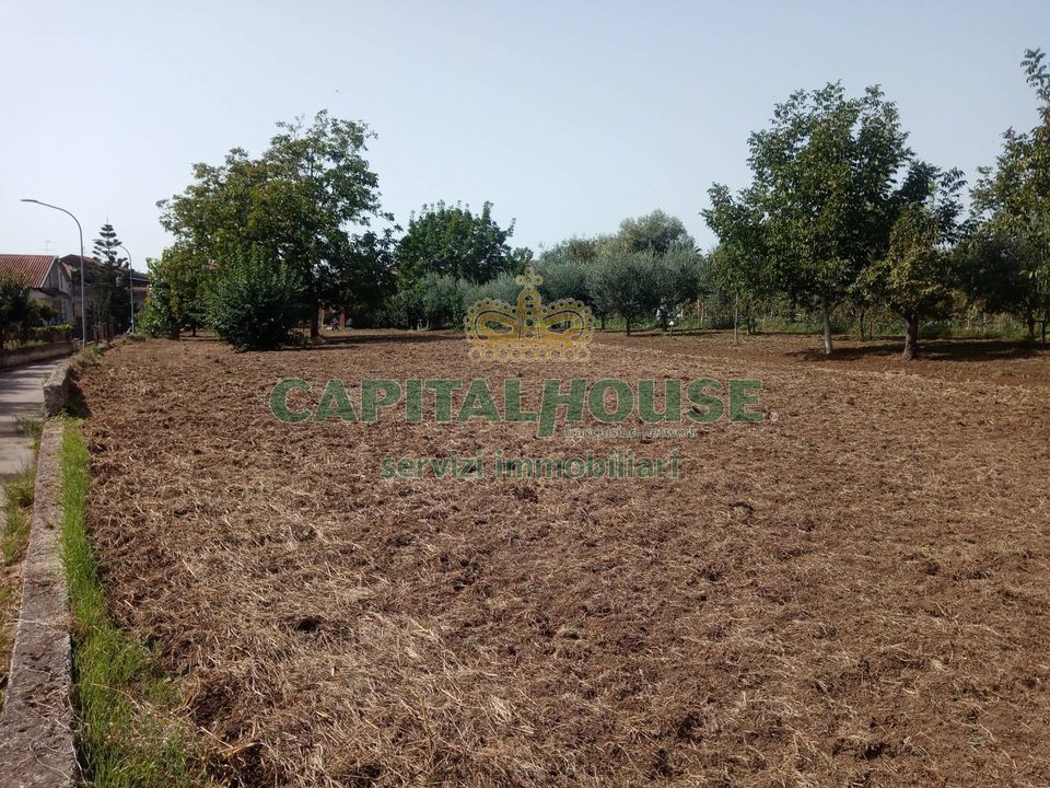 Helårsgrund i Pastorano, Caserta - foto 1