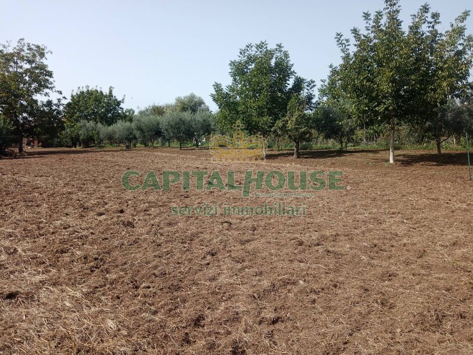 Helårsgrund i Pastorano, Caserta - foto 3