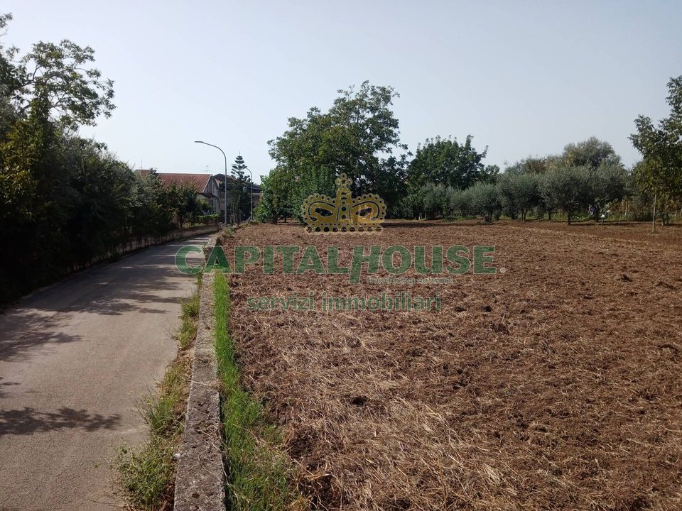 Helårsgrund i Pastorano, Caserta - foto 4