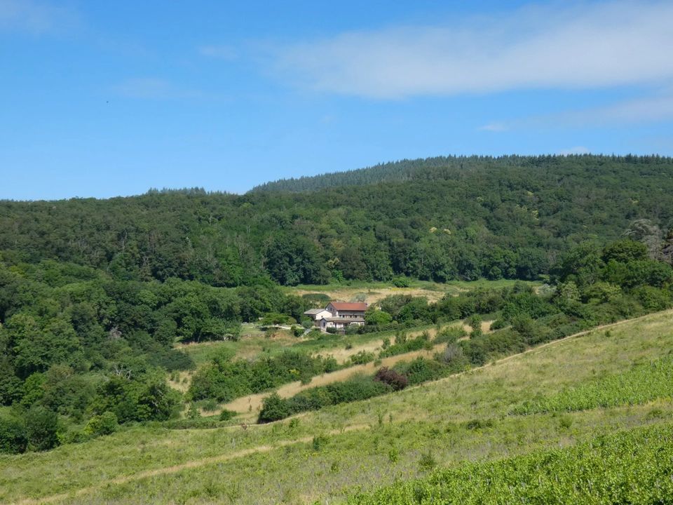 Landhaus in Ige, Saone-et-Loire - Foto 1