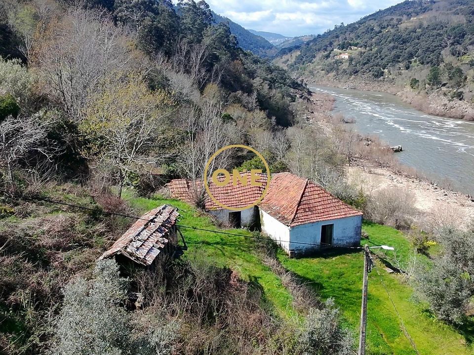 Gård i Cinfaes, Viseu - bilde 1