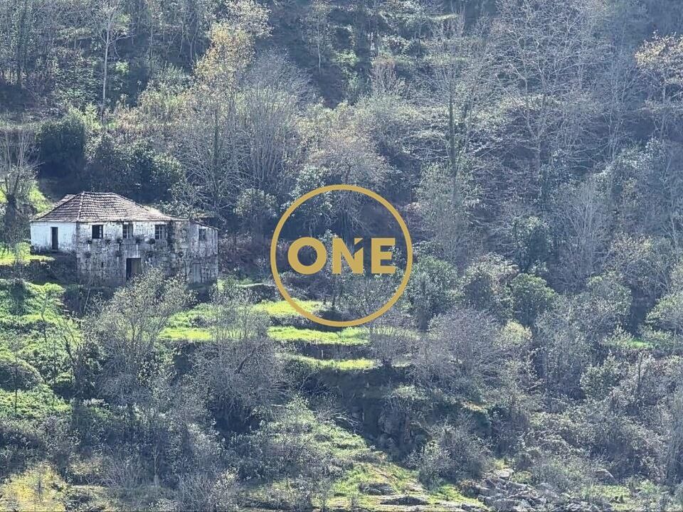 Gård i Cinfaes, Viseu - bilde 2