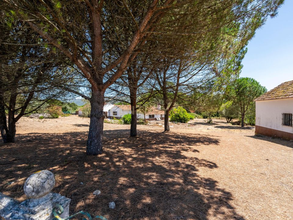 Villa i Alcobaca, Leiria - foto 4