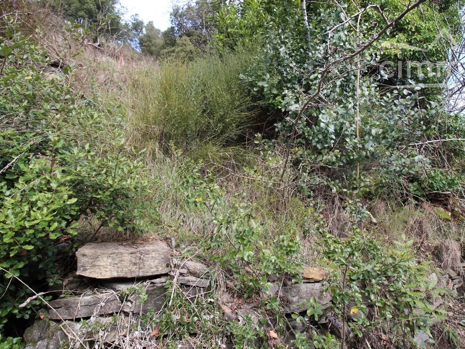 Leilighet i Axat, Aude - bilde 2
