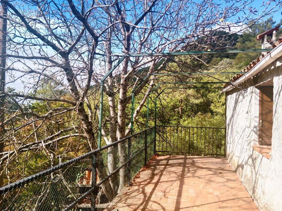 Villa i Peille, Alpes-Maritimes - foto 1