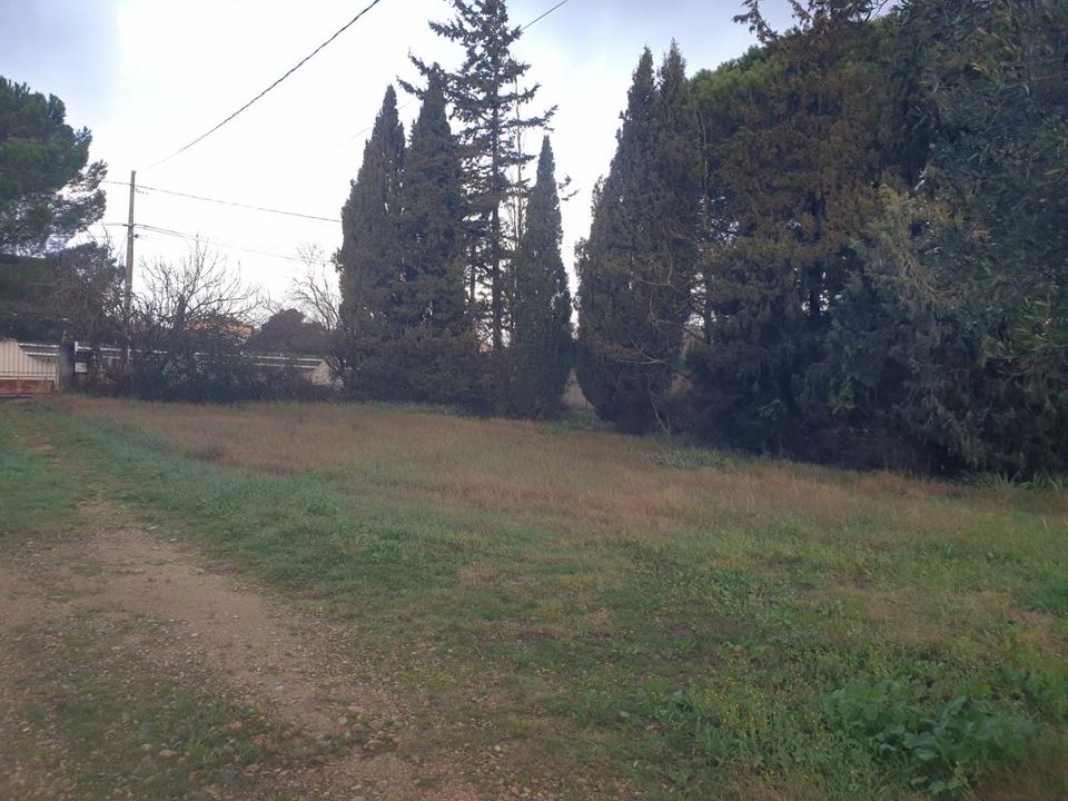 Helårsgrund i Beaucaire, Gard - foto 3