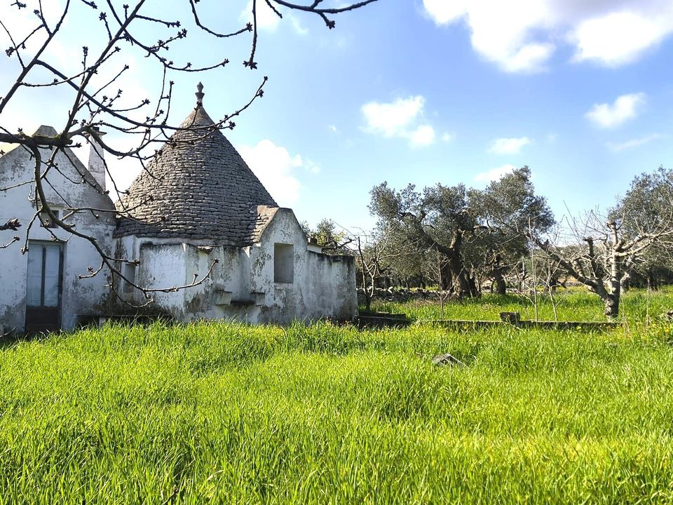 Villa i Monopoli, Bari - foto 2