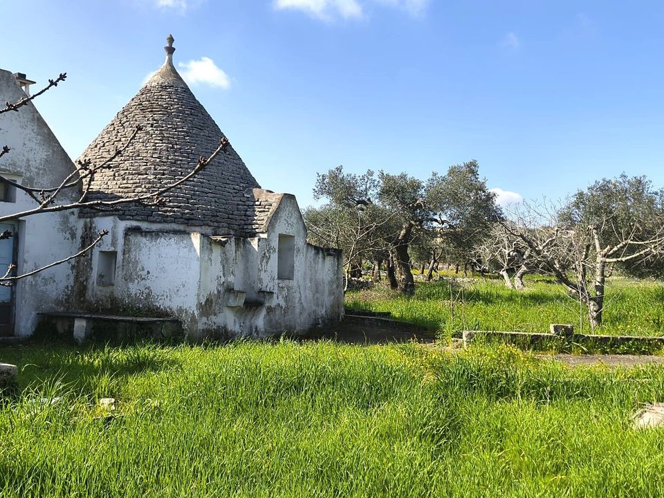 Villa i Monopoli, Bari - foto 4