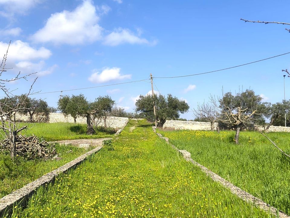Villa i Monopoli, Bari - foto 5