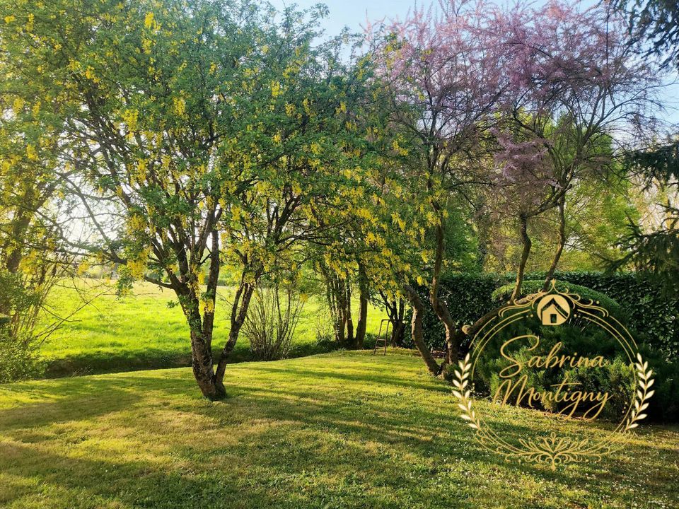 Landejendom i Saché, Indre-et-Loire - foto 2