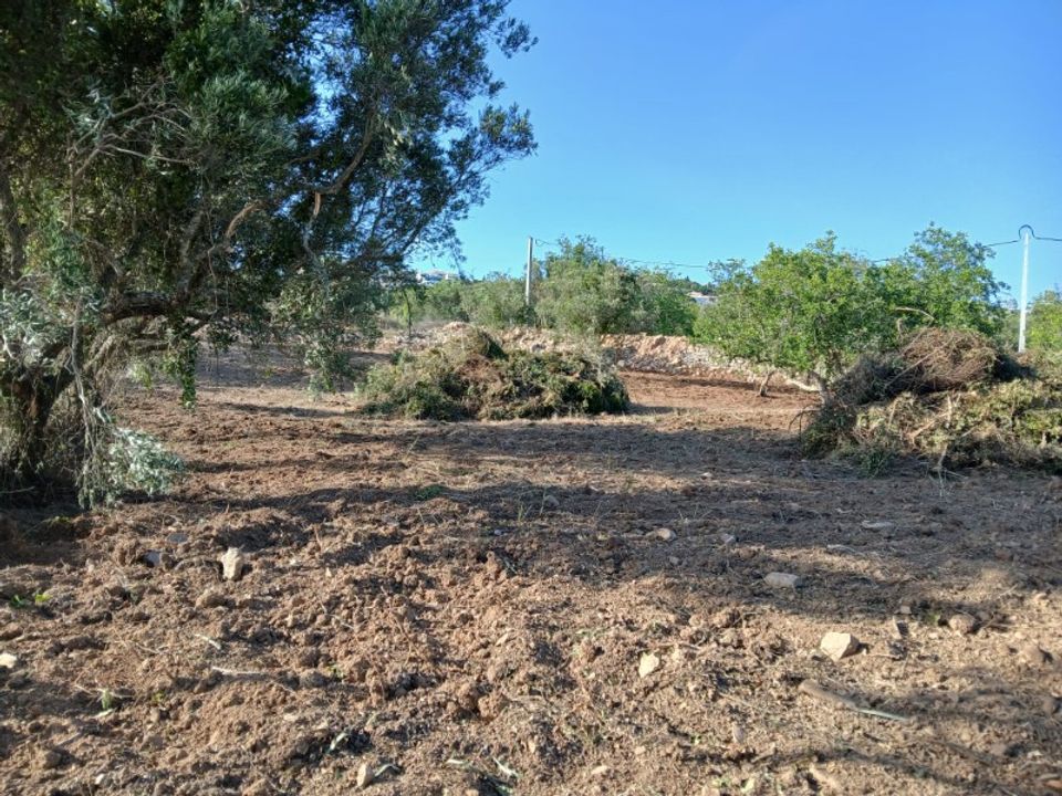 Helårsgrund i Santa Barbara de Nexe, Faro - foto 3