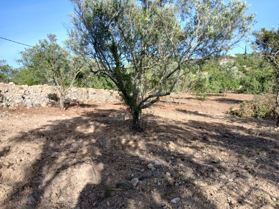 Helårsgrund i Santa Barbara de Nexe, Faro - foto 5